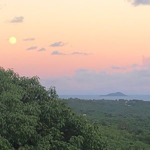 Meet your Posher, Juanita